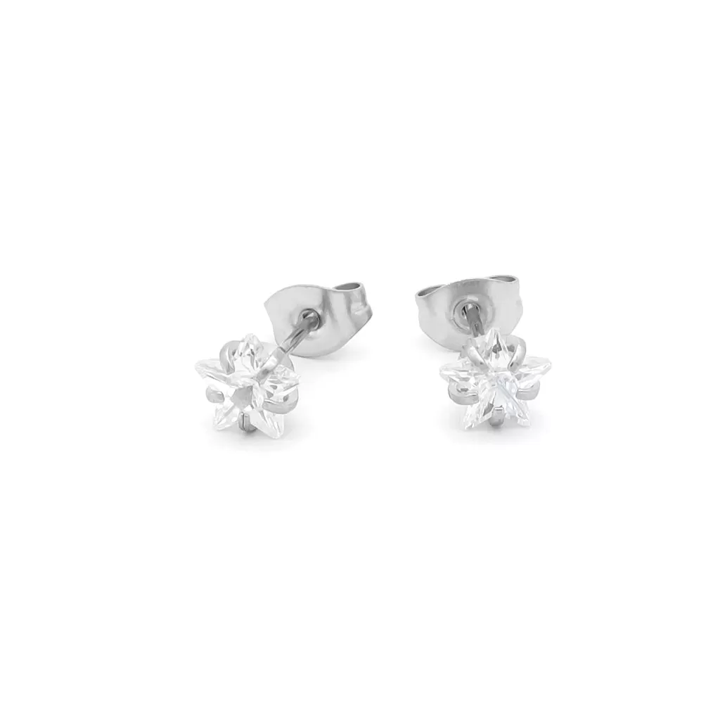 Star CZ Stainless Steel Stud Earrings